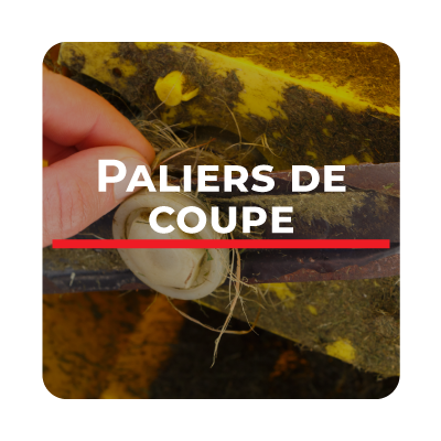 Paliers
